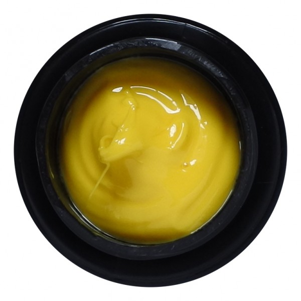 ALX 2D Gel No 002