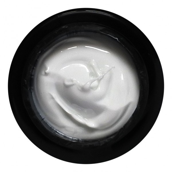 ALX 2D Gel No 008